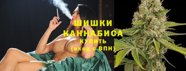 стаф Белокуриха