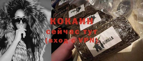 стаф Белокуриха