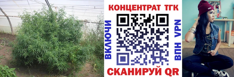 купить наркотик  блэк спрут зеркало  Дистиллят ТГК концентрат  Никольское 
