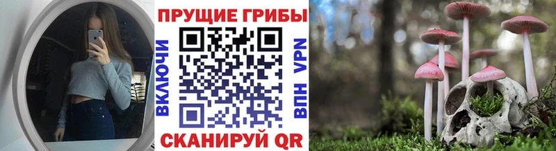 Псилоцибиновые грибы Magic Shrooms  Никольское 